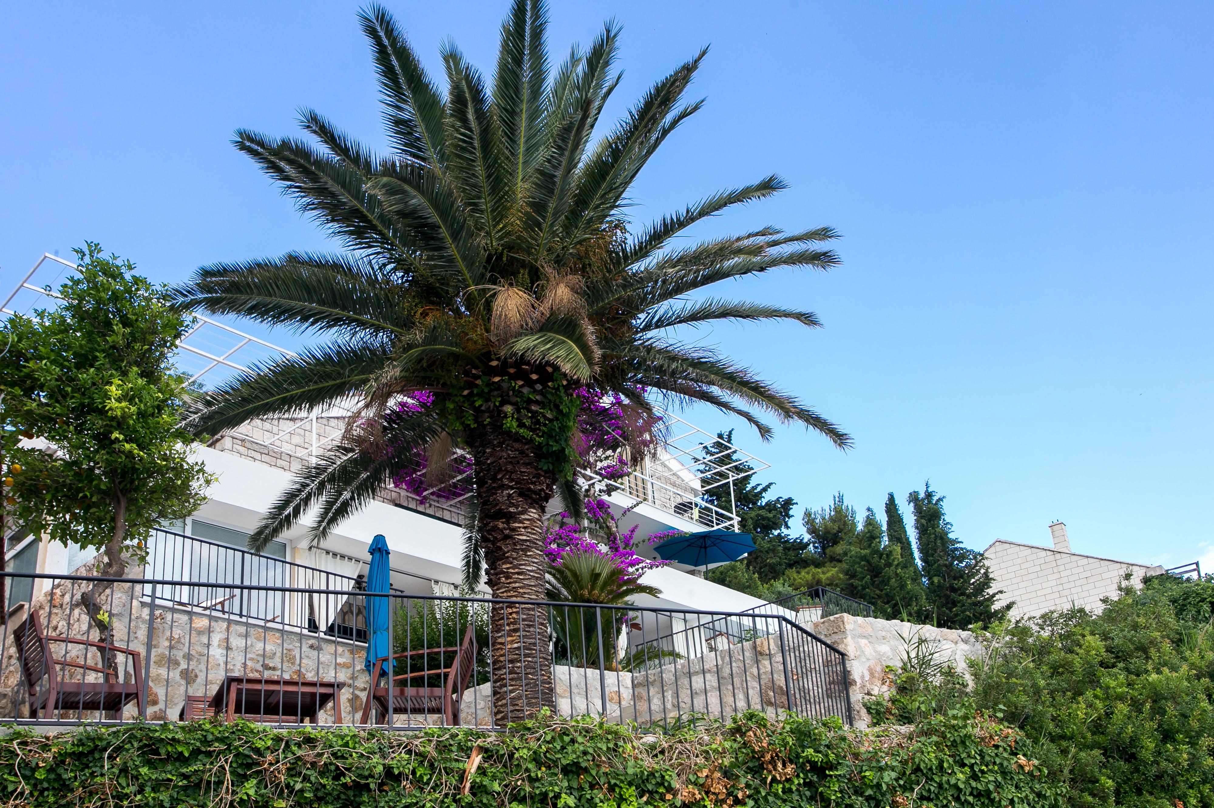 Apartments Villa Mirjana Mlini Luaran gambar